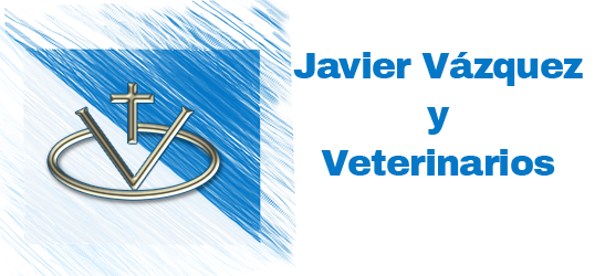 Veterinario de caballos en Huelva, veterinario equino en Sevilla, veterinario de caballos en Cádiz