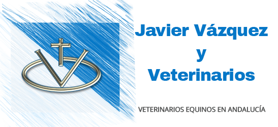 Veterinario de caballos en Huelva, veterinario equino en Sevilla, veterinario de caballos en Cádiz