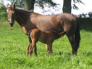 Mejores posibilidades, menos riesgos
