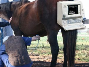 Atención personalizada
