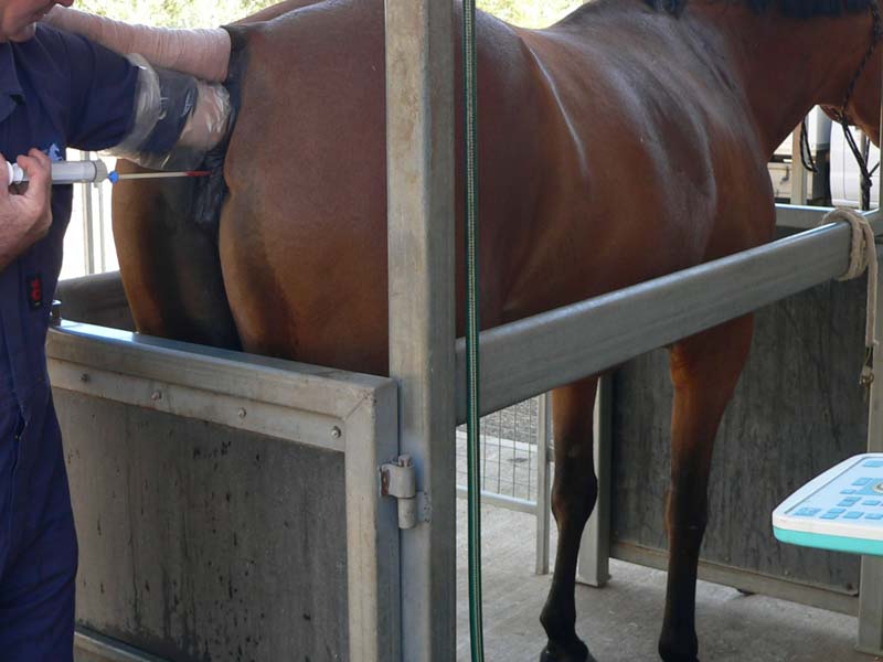 Segudidad y comodidad